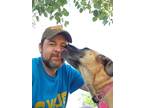 Adopt Mango a Tan/Yellow/Fawn - with Black Black Mouth Cur / Black Mouth Cur /