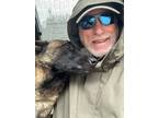 Adopt Riot a Brown/Chocolate - with Black Belgian Malinois / Mixed dog in