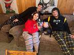 Adopt Maggi a Black - with White American Staffordshire Terrier / Boxer / Mixed