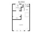First Street Manor Apartments - Studio