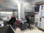 Biotech Startup Lab Incubator Rental near Boston andamp; Cambridge