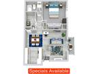 Regency Club - 1 Bed | 1 Bath