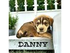Danny Boxer Male