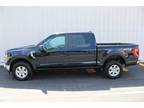 2023 Ford F-150 XLT AVAILABLE 6.99% AT 72 MONTHS!
