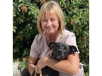 Adopt Trixie a Black Golden Retriever / Terrier (Unknown Type
