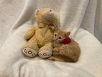 Adopt Gemma a Orange or Red Tabby Domestic Shorthair (short coat) cat in