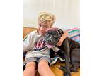 Adopt Penelope Jo a Black Labrador Retriever dog in Bellingham, WA (41533348)