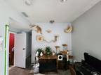 Adopt Turbo a Orange or Red American Shorthair / Mixed (short coat) cat in