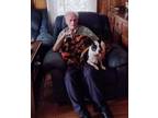 Adopt Charleigh a White - with Black Rat Terrier / Dachshund / Mixed dog in
