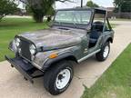 1978 Jeep CJ-5 Renegade Levi's Edition - Wylie,TX