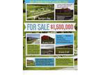 Business For Sale: Marina And Boat Storage