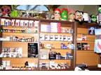 Business For Sale: Turn - Key Online Costume Company
