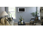 Business For Sale: Painting Franchise - High ROI, Low Investment