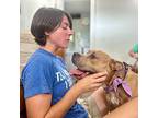 Happy Bear the itty-bitty beefcake Senior Male