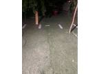 Turf for sale
