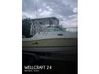 24 foot Wellcraft 24