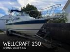 25 foot Wellcraft 250 Sportsman