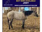 Perfect Aqha Dun Mare