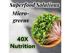 Microgreens