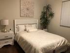 Peaceful and quiet place to stay