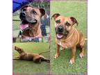 Adopt ATHENA a Boxer
