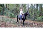 Itty Biddy - Morgan Mare