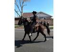 Tennessee Walker