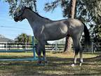 Bruno OTTB