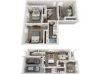 Caso Leander - D1 Duplex