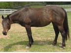Adopt Scarlet a Grade