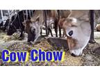 Cow Chow Cattle Feed