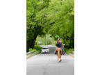 Amazing trail/highway/pleasure Horse