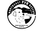 Adopt Incoming Dogs - Male a White Great Pyrenees / Mixed dog in Lee