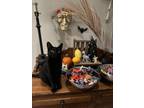 Adopt Yacinta a Domestic Short Hair, Bombay