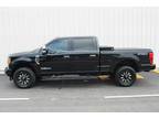 2017 Ford Super Duty F-250 SRW Platinum WE SHIP NATIONWIDE!!!