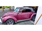 1989 Volkswagen Beetle