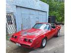 1981 Pontiac Firebird Trans Am