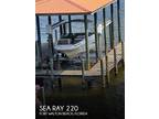 22 foot Sea Ray Sundeck SDX 220