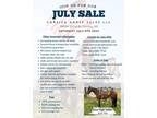 Online & in Person Horse Sale