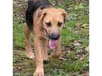 Adopt Christiano a Retriever