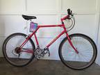 Vintage 1988 GT Karakoram 20" Araya Mountain Bike Shimano