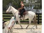 Beginner Safe Paint Mare Lessons