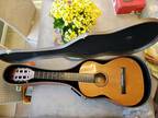 Giannini Trovador AWNT 6, Ser 10/6, with Case, Classical Guitar, See Listing