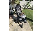Nuna MIXX Stroller