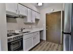 Chateau Village - Remodeled 1 Bed 1 Bath