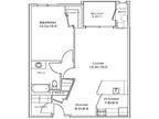 Lynnfield Commons - Barberry
