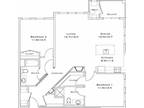 Lynnfield Commons - Elderberry