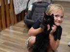 Autumn's Kittens