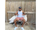 kingdre21