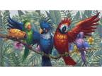 Adopt Waitlist application a Parrot (Other)